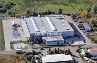 Gewerbeimmobilie kaufen in Ahornstrasse 12, 17248 Rechlin, Gewerbeimmobilie für Produktion, Lager und Kommissionierung