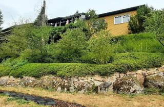 Haus kaufen in 69250 Schönau, Schönau - Haus mit Einliegerwohnung