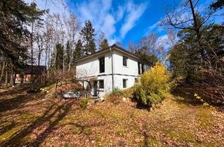 Haus kaufen in 29556 Suderburg, Suderburg - Von privat: EFH (Bungalow) mit großem Grundstück und Tiefgarage