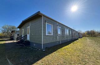 Haus kaufen in 29693 Hodenhagen, Hodenhagen - Mobilheim Tiny House LACET Ferienhaus