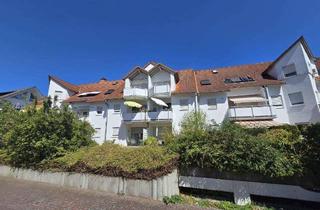 Wohnung kaufen in 63456 Hanau, Helle 1-Zim.-Wohnung + ausgebautes Dachgeschoss in Hanau Steinheim