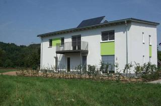 Lofts mieten in 63820 Elsenfeld, außergewöhnliche, loftartige 4 Zimmerwohnung mit Mainblick, modernster Energiestandard