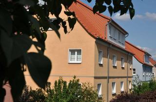Wohnung mieten in R.-Luxemburg-Straße 36, 02785 Olbersdorf, Zittauer Gebirge nur einen Katzensprung entfernt