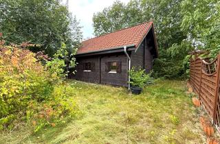 Haus kaufen in 29320 Hermannsburg, Individuelles Holzhaus mit besonderem Charakter