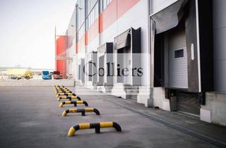 Gewerbeimmobilie mieten in 53881 Euskirchen, Logistikhalle in Euskirchen | Autobahnsichtlage | 12,00 m UKB | Rampen