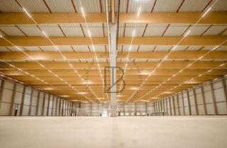 Gewerbeimmobilie mieten in 68519 Viernheim, "BAUMÜLLER AG" - moderne Lager-/Logistikfläche - ca. 6.000 m² - Rampentore
