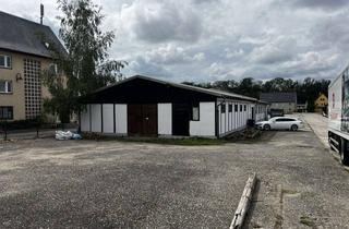 Gewerbeimmobilie mieten in 01796 Pirna, Großzügige Lagerhalle in Pirna!
