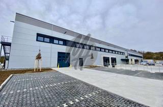 Büro zu mieten in 64546 Mörfelden-Walldorf, SCHNELL VERFÜGBAR ✓ RAMPE + EBEN ✓ Lager (4.400 m²) & Büro (1.400 m²)