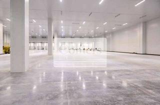 Gewerbeimmobilie mieten in 68642 Bürstadt, Logistikhalle nahe der A67 - AB 01.08.2026 - ca. 30.000 m²