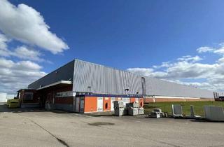 Gewerbeimmobilie mieten in Goodyearstraße, 76661 Philippsburg, Industrie- & Lagerhalle mit ca. 7.759 m² im Industriepark Philippsburg