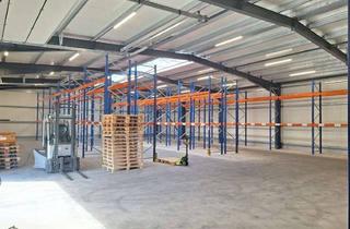Gewerbeimmobilie mieten in 25451 Quickborn, Moderne Lager- und Gewerbehalle