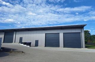 Gewerbeimmobilie mieten in 25451 Quickborn, Moderne Lager- und Gewerbehalle - ca 295 m²