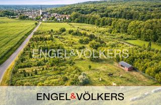 Grundstück zu kaufen in 64409 Messel, Großzügiges Natur-Areal - Ideal für Straußenfarm, Tierhaltung oder Gartenbau – bis 31.000 m² zwi...