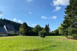 Grundstück zu kaufen in Planstr. 5-7, 34508 Willingen, Attraktives Baugrundstück in ruhiger Lage von Willingen-Rattlar