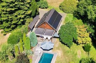 Gewerbeimmobilie kaufen in 09116 Altendorf, Exklusives Dreifamilienhaus auf 4330 qm Parkgrundstück mit Pool, Saunahaus, neue Fenster und Dach