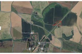 Gewerbeimmobilie kaufen in 06901 Kemberg, Landwirtschaftliche Fläche in Bergwitz zu verkaufen - provisionsfrei