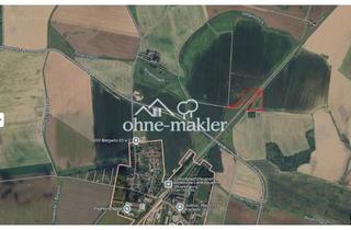 Grundstück zu kaufen in 06901 Kemberg, Landwirtschaftliche Fläche in Bergwitz zu verkaufen - provisionsfrei