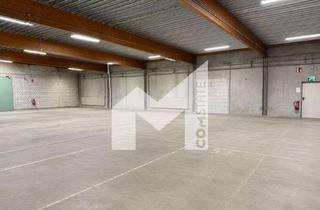 Gewerbeimmobilie mieten in 53859 Niederkassel, LAGER | HALLE | RAMPEN | ÜBERDACHTE ANDIENUNG | COMSTATE