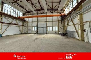 Gewerbeimmobilie kaufen in 01609 Nauwalde, Großzügige Gewerbehalle mit Kranbahnen