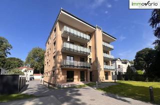 Wohnung mieten in Klausenerstraße 36, 39112 Magdeburg, Exklusiver Erstbezug in MD-Sudenburg: Großzügige 4-Raum-Wohnung mit 2 Terrassen!