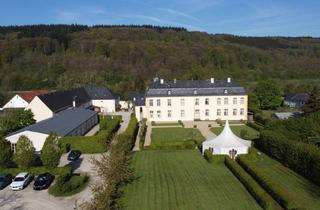 Lager kaufen in 54668 Niederweis, Barockes Schlossanwesen in Niederweis - Historisch und repräsentativ