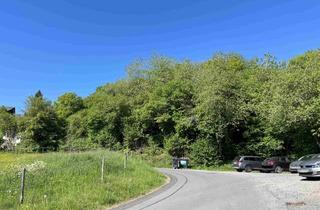 Immobilie kaufen in 54550 Daun, Großes Baugrundstück in Neunkirchen bei Daun