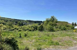 Immobilie kaufen in 54570 Kirchweiler, Baugrundstück in Kirchweiler - für Ihr neues Zuhause!