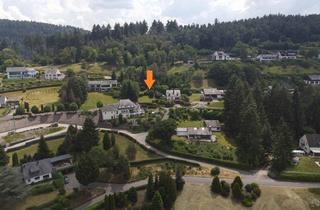 Immobilie kaufen in 54340 Leiwen, Einmaliges Baugrundstück mit traumhafter Aussicht in Leiwen