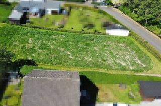 Immobilie kaufen in 54578 Oberbettingen, Großzügig und Naturnah - Baugrundstück in Oberbettingen