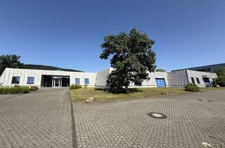 Gewerbeimmobilie mieten in 54294 Trier, Repräsentative Gewerbeeinheit für variable Nutzung im Gewerbepark Trier-Euren-Zewen-Monaise zu vermieten