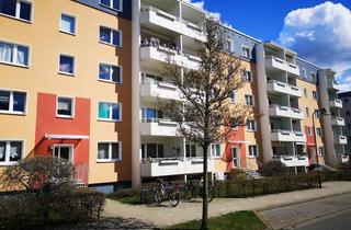 Wohnung mieten in Trebelehof, 18528 Bergen, ++ Großzügig Wohnen im Erdgeschoss mit Balkon ++