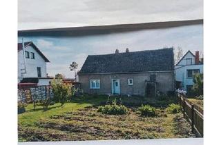 Einfamilienhaus kaufen in 99628 Buttstädt, Buttstädt - charmantes Häuschen in Mannstedt 72m2 Wohnfläche 681m2 grundstück