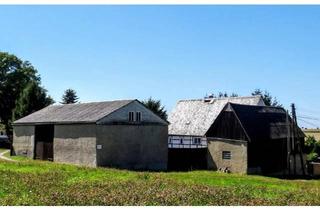 Bauernhaus kaufen in 09249 Taura, Taura - Bauernhof - von Privat an Privat - provisionsfrei