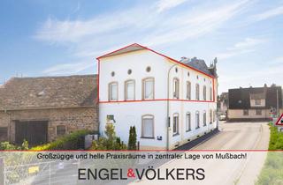 Wohnung kaufen in 67435 Mußbach, Großzügige und helle PRAXISRÄUME in zentraler Lage von Mußbach!