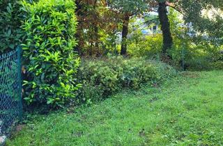 Wohnung mieten in 76547 Sinzheim, SINZHEIM - Großzügiges Wohnen sucht Mieter