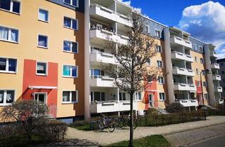 Wohnung mieten in Trebelehof, 18528 Bergen, ++ Großzügig Wohnen im Erdgeschoss mit Balkon ++