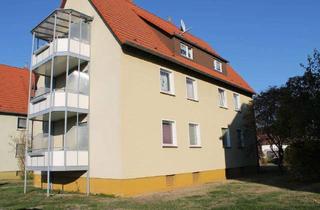 Wohnung mieten in Im Osterkamp, 38690 Vienenburg, 2-Zimmer mit Dusche/Balkon in Wiedelah