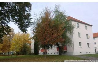 Wohnung mieten in Drosselweg, 01589 Riesa, Sanierte 2 Raumwohnung in der Pausitzer Delle