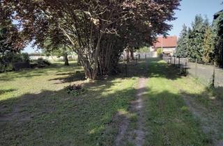 Einfamilienhaus kaufen in 06369 Prosigk, Einfamilienhaus mit großzügigem Grundstück