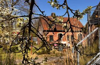 Einfamilienhaus kaufen in 26931 Elsfleth, Haus mit Strandgrundstück am Weserdeich
