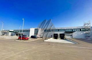 Büro zu mieten in 65451 Kelsterbach, NÄHE FLUGHAFEN ✓ Modernes Gewerbeobjekt mit Lager (4.350 m²) & Büro (1.250 m²)