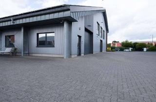Gewerbeimmobilie mieten in 25767 Albersdorf, Großzügige Halle im Gewerbegebiet von Albersdorf, Kreis Dithmarschen