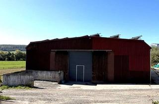 Gewerbeimmobilie mieten in Salzschlirfer Straße 43, 36367 Wartenberg, Großzügige Gewerbehalle mit ca. 480 m² – vielseitig gewerblich nutzbar