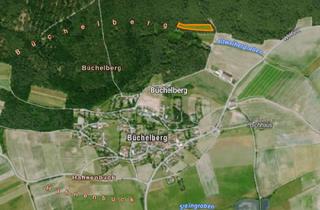 Gewerbeimmobilie kaufen in 91710 Gunzenhausen, Waldgrundstück Gemarkung Büchelberg – Flurnummer 359