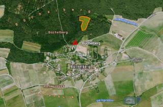Gewerbeimmobilie kaufen in 91710 Gunzenhausen, Waldgrundstücke in Büchelberg - Flurnummern: 381 + 386