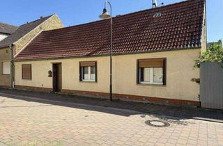 Haus kaufen in 06895 Zahna-Elster, Zahna - Historisches Liebhaberobjekt mit Nebengebäuden und Gestaltungspotenzial