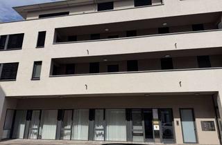 Wohnung kaufen in 79539 Lörrach, Attraktive 3,5 Zimmer-Eigentumswohnung in bester Zentrumslage KFW 55, mit grosser Terrasse, Lift ...