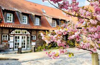 Wohnung mieten in Letter Strasse, 48361 Beelen, traumhafte Maisonette Wohnung auf historischer Hofanlage