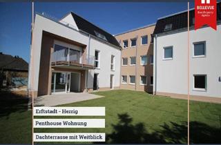 Penthouse mieten in 50374 Erftstadt, Penthouse Wohnung || 3 Zimmer & 2 Bäder || Garage & Südterrasse