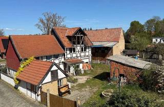 Haus kaufen in Kurze Straße 113, 38835 Berßel, Baugrundstück oder Resthof mit Entwicklungspotenzial in Berßel bei Osterwieck